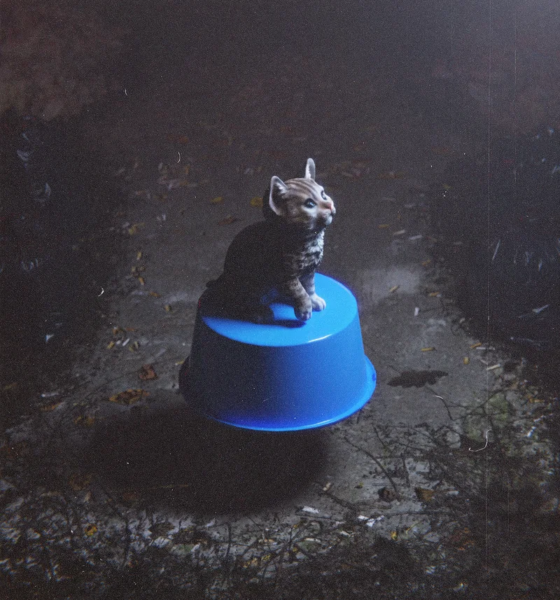 A kitten sitting on an upturned blue bowl