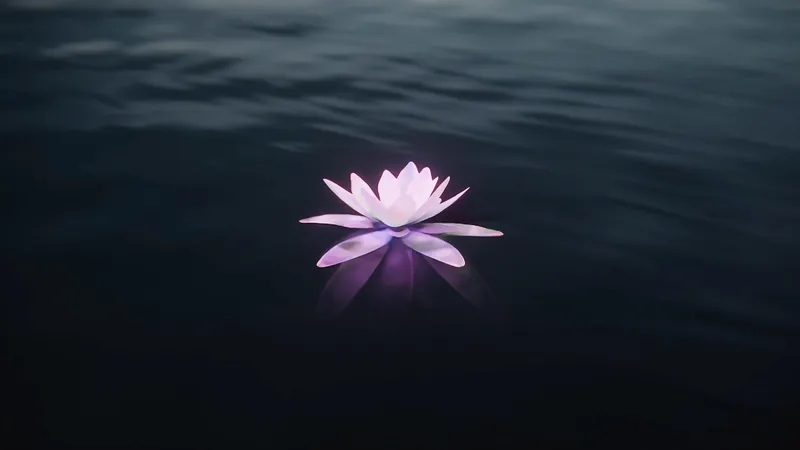 A glowing water lily floating on dark water